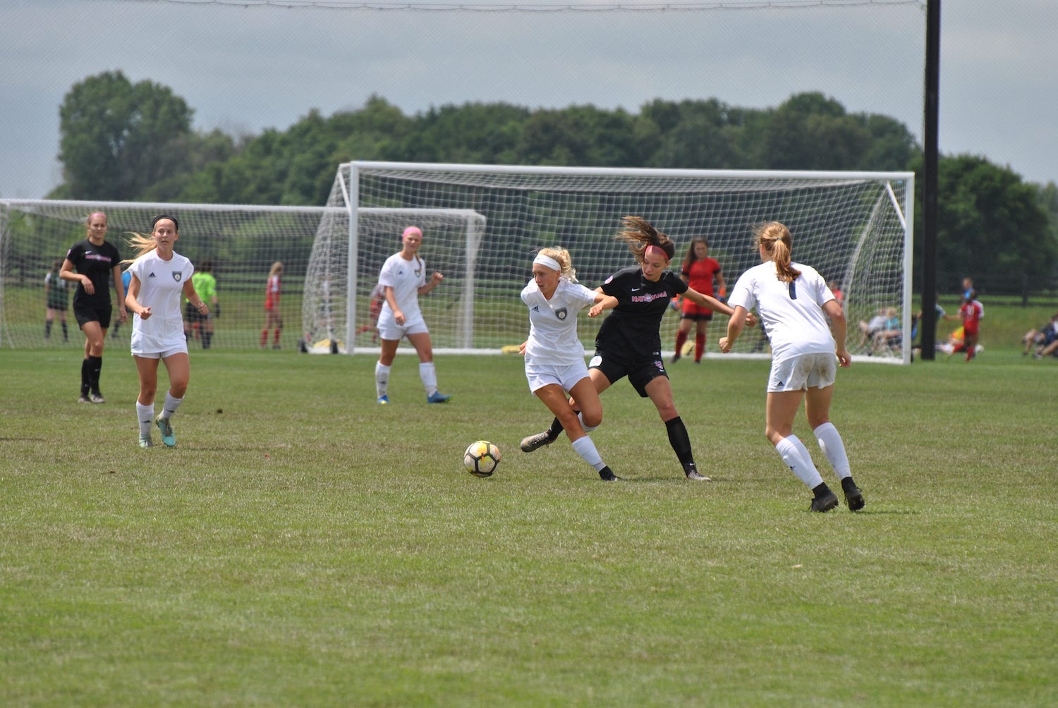 Schneider-01G_Cut_Outside